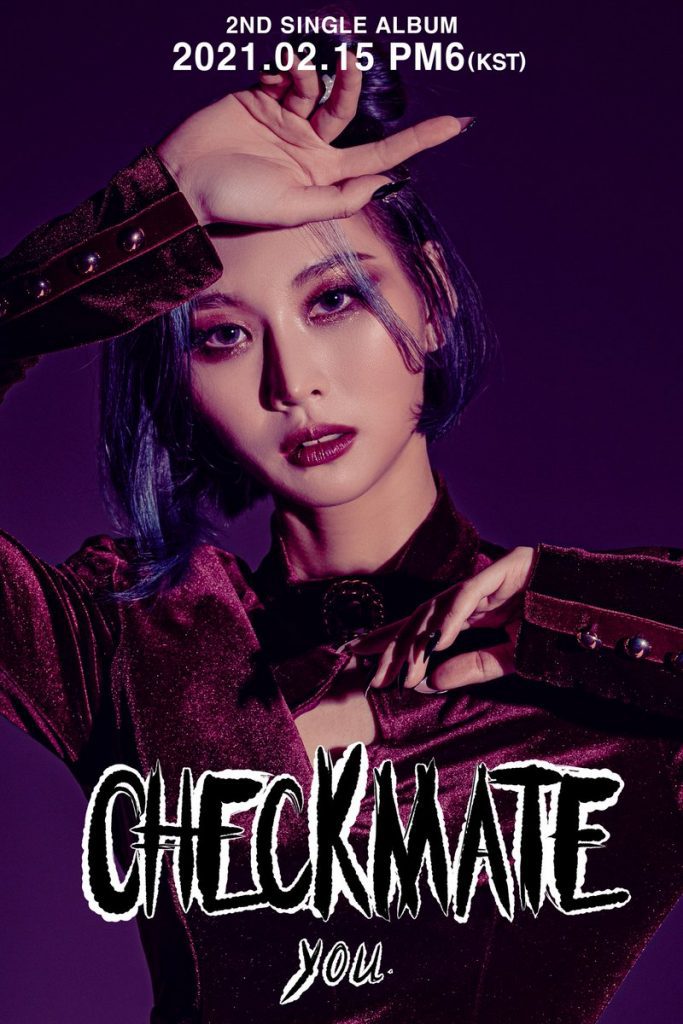 گروه چیکمیت (CHECKMATE)